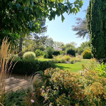 Chambre Hote Avec Piscine - La Vialatte Gaillac Eksteriør billede