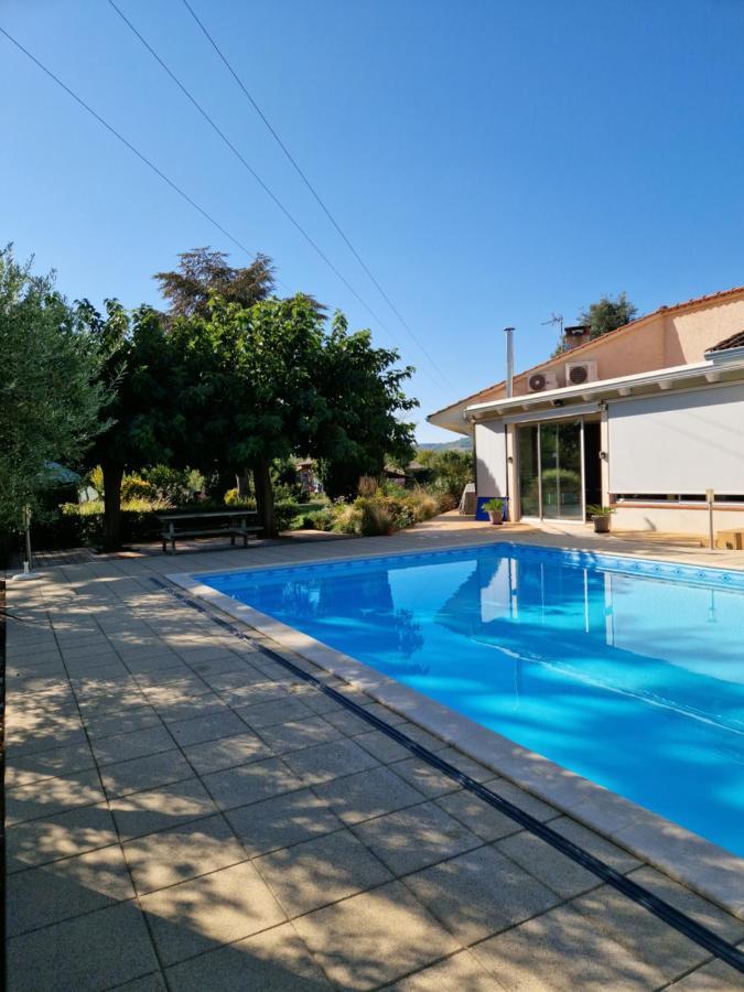 Chambre Hote Avec Piscine - La Vialatte Gaillac Eksteriør billede